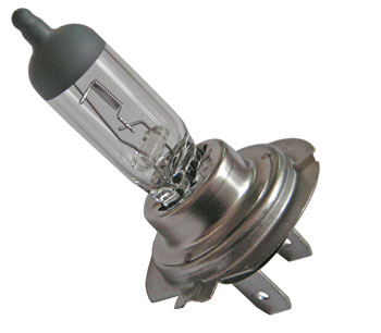 Halogen-Glühlampe H7 12V 55W, PX26d in KFZ-Elektrik > Glühlampen